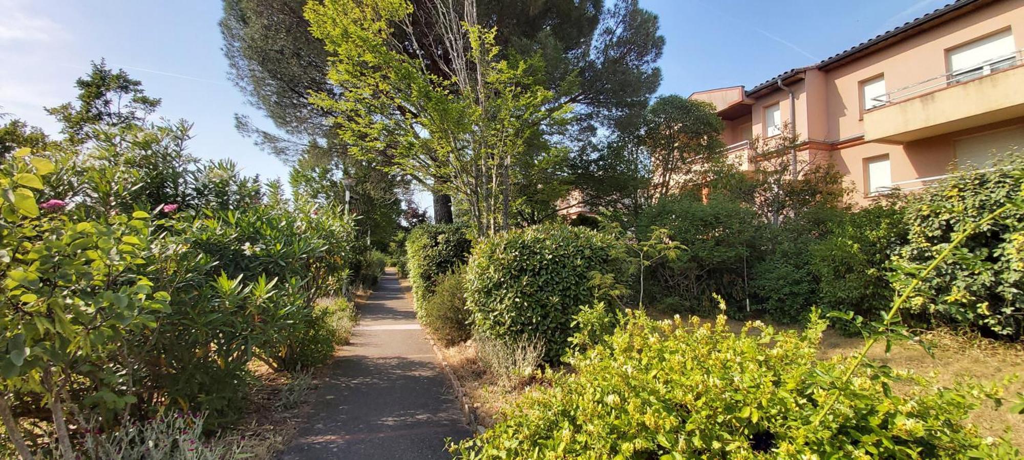 Les Elfes - Avec Entree Autonome, Clim Neuve, Jardin, Parking Prive & Gourmandises Offertes ! - Apartment Toulouse Bagian luar foto