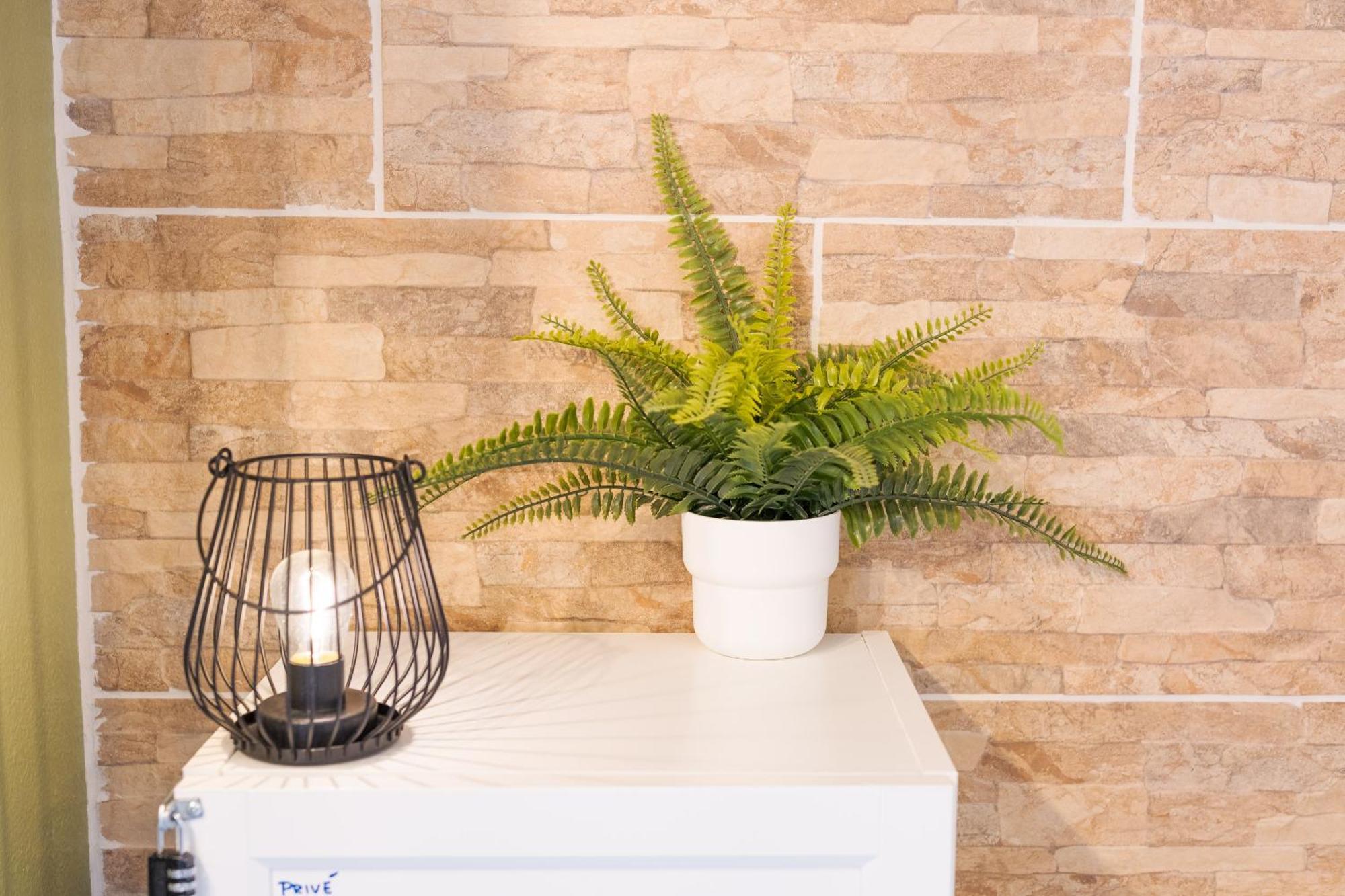 Les Elfes - Avec Entree Autonome, Clim Neuve, Jardin, Parking Prive & Gourmandises Offertes ! - Apartment Toulouse Bagian luar foto